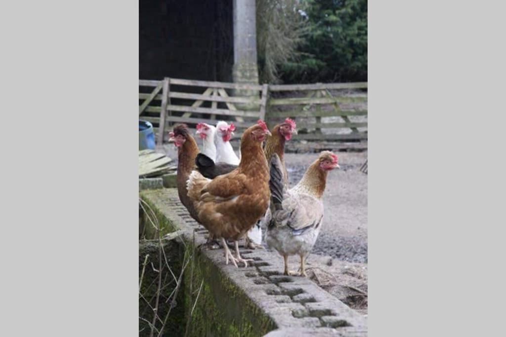 Stones Cottage Farm, Nr Haworth, Family Friendly, Work Friendly, Gaming Barn, Crafting, Free Wifi, Free Parking, Ev Point Oxenhope Екстер'єр фото
