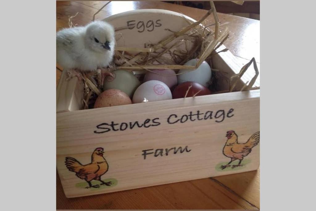 Stones Cottage Farm, Nr Haworth, Family Friendly, Work Friendly, Gaming Barn, Crafting, Free Wifi, Free Parking, Ev Point Oxenhope Екстер'єр фото
